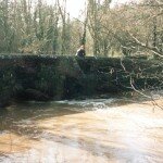 River Frome Floods March 1998. Photo courtesy Mo Lewis.